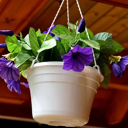 Semesterbostad Kettu Holl Taipalsaari