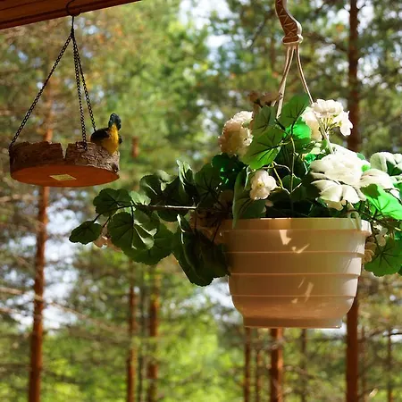 Kettu Holl Holiday home *