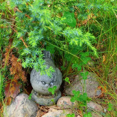 Semesterbostad Kettu Holl *