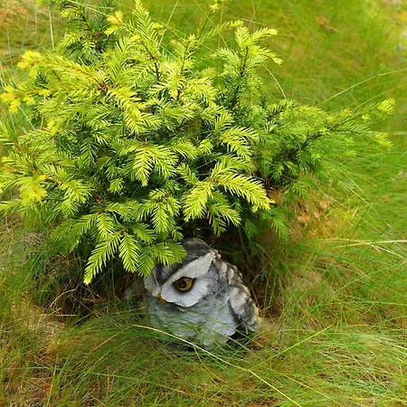 Kettu Holl * Taipalsaari