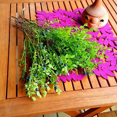 Semesterbostad Kettu Holl