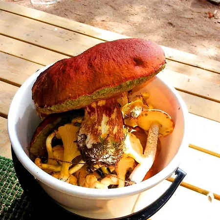 Semesterbostad Kettu Holl Taipalsaari