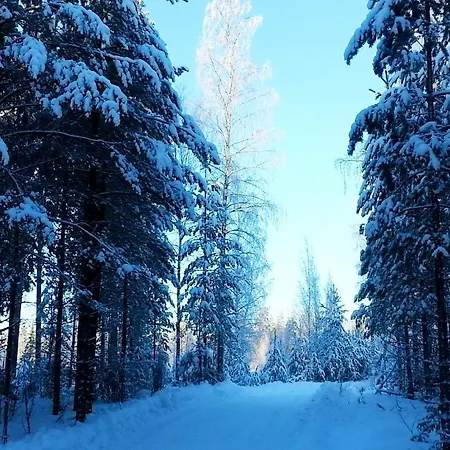 Kettu Holl * Taipalsaari