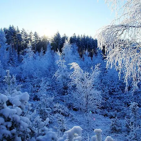 Kettu Holl Semesterbostad *