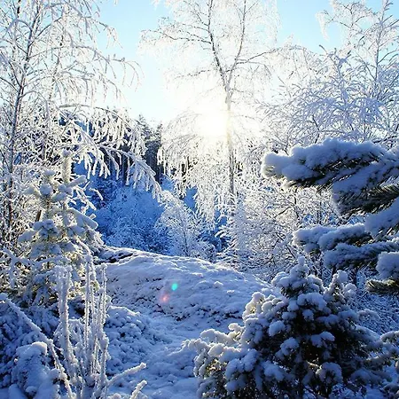 بيت للعطل Kettu Holl Taipalsaari