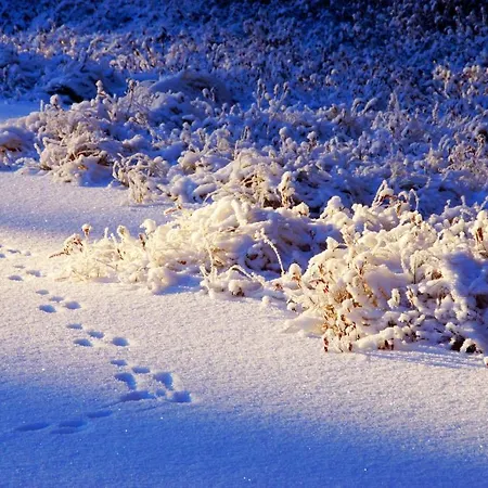 Kettu Holl Taipalsaari