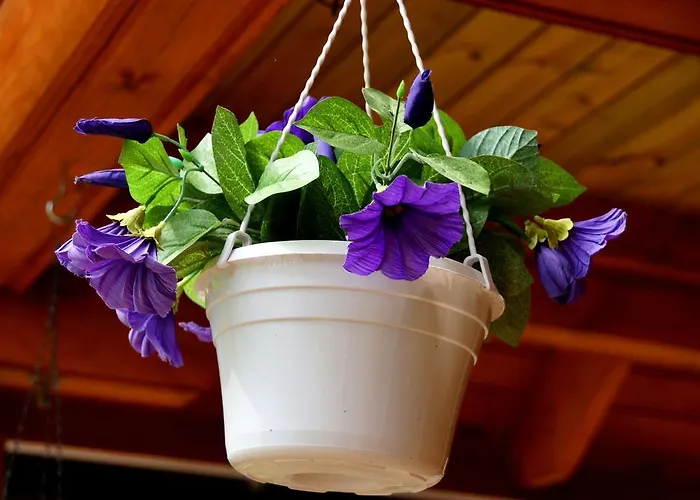 Hébergement de vacances Kettu Holl Taipalsaari