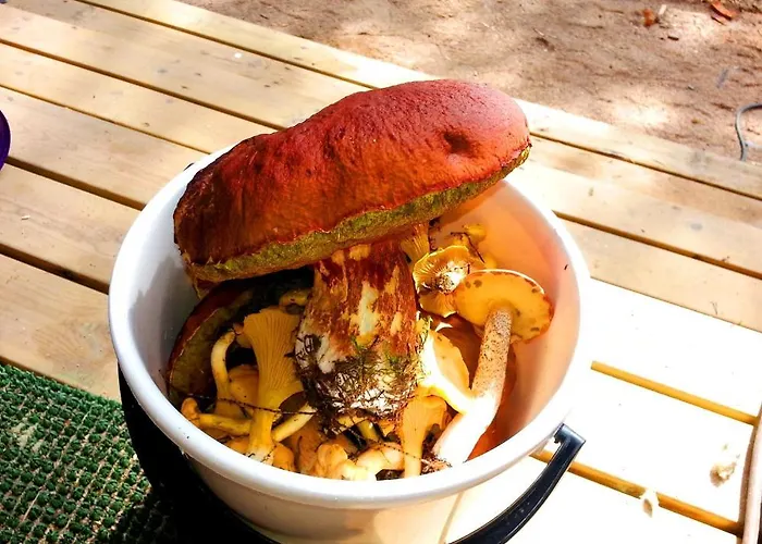 Hébergement de vacances Kettu Holl Taipalsaari