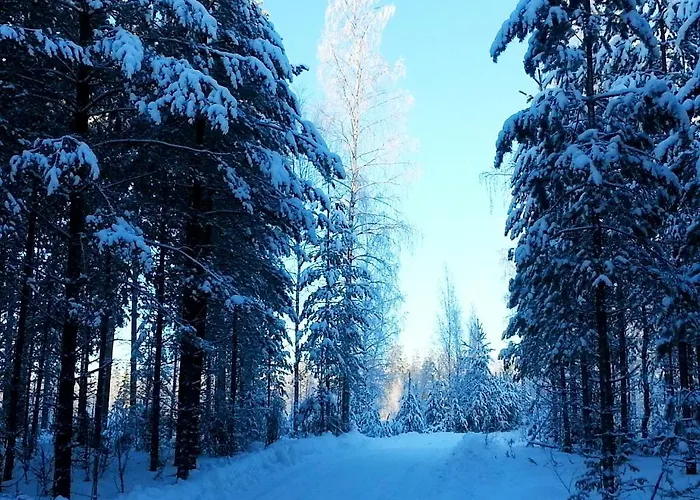 Kettu Holl * Taipalsaari