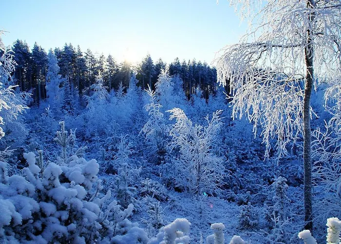 Kettu Holl Hébergement de vacances *
