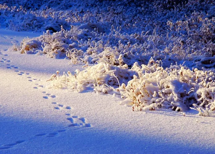 Kettu Holl Taipalsaari